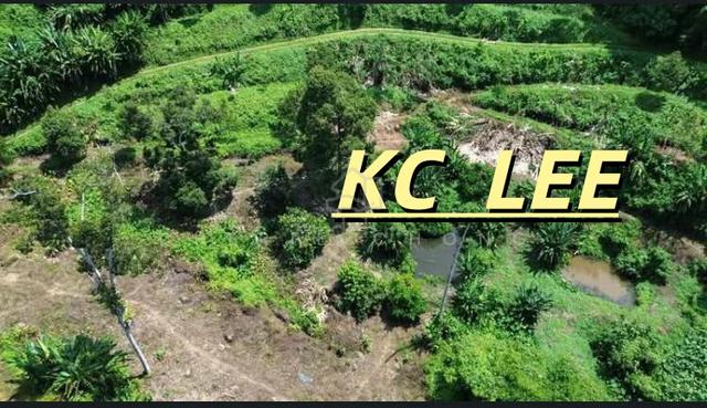 6.1 Acres Durian & Fruits Orchard Land For SALE @ Kuala Kangsar ,Perak 1