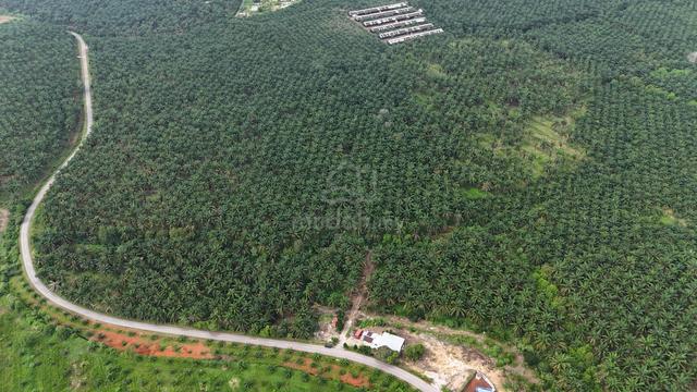 Sidam Kiri Kuala Muda Agriculture Land 8.34 Acres 1