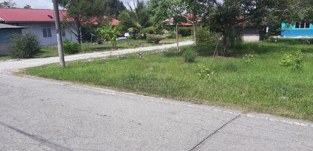 Tanah Kediaman 0.5 Ekar Berserta Sebuah Rumah 4