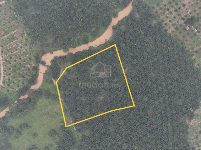 TANAH Kebun Kelapa Sawit 2.04 Ekar di Semanggar, Kota Tinggi [MURAH] 1