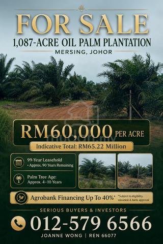 Oil Palm Plantation For Sale at Mersing, Johor 1