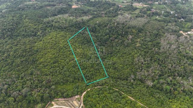 2.33 Ekar Freehold๐ฅTanah Pertanian | Kampung Pilah Tengah 1