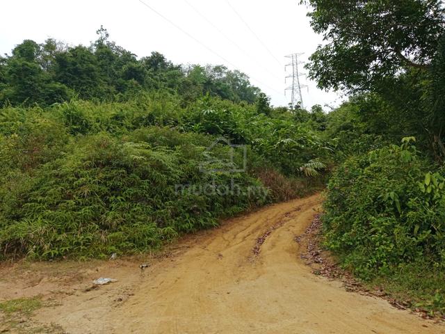 Tanah Murah Asset Pertanian dan Kebun 1