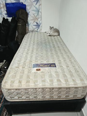 Single Bed + Divan - photo 2 of 5
