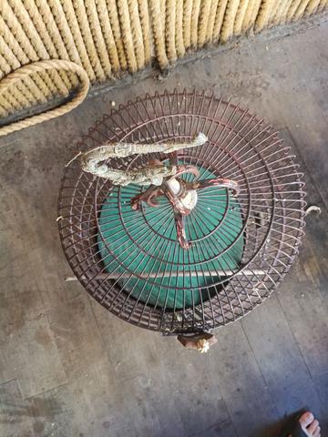 Carousel Image