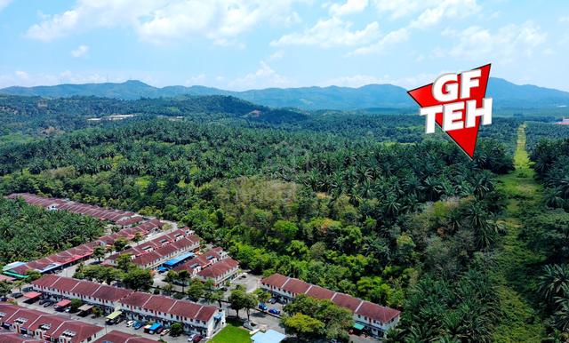 10.39 acre Agricultural Land | Sungai Jawi | SPS | Penang 1