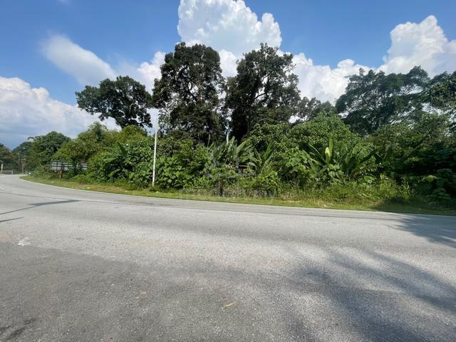 Batang Kali,2 acre fruits orchard for sale,beside road & freehold 1