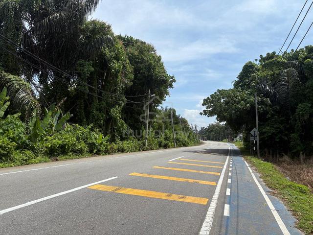 Dusun Tepi Jalan Utama Kuala Kangsar Perak 1
