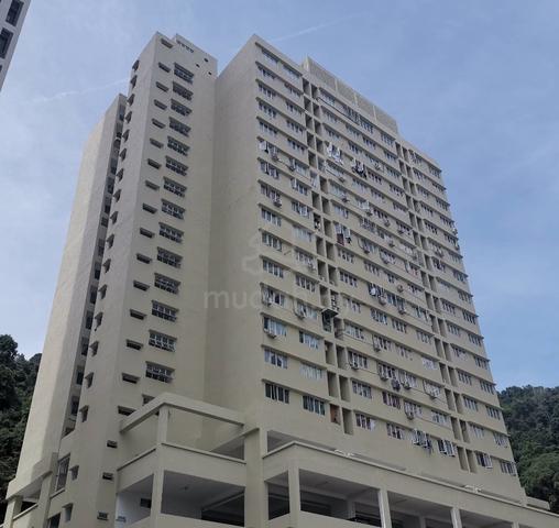E Garden 1