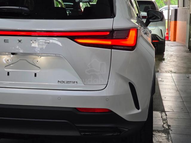2023 Lexus NX250 2.5 BASE GRADE (A) - 4