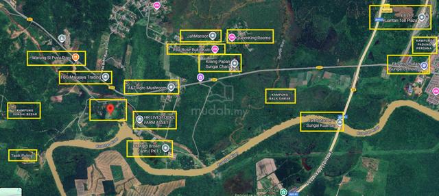 For Sale@ Agricultural Land Bukit Kuin, Kuantan Pahang 1