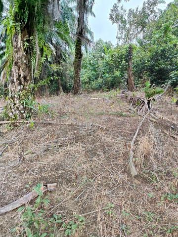 Tanah bangunan kampung macang kuala berang hulu terengganu 1