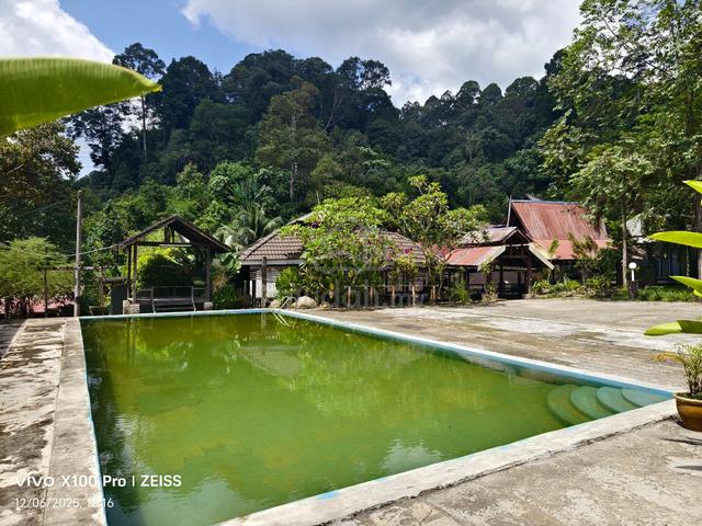 Eco Resort Hulu Perdik Batu 19 & 15 Jalan Hala Ke Argotek 1