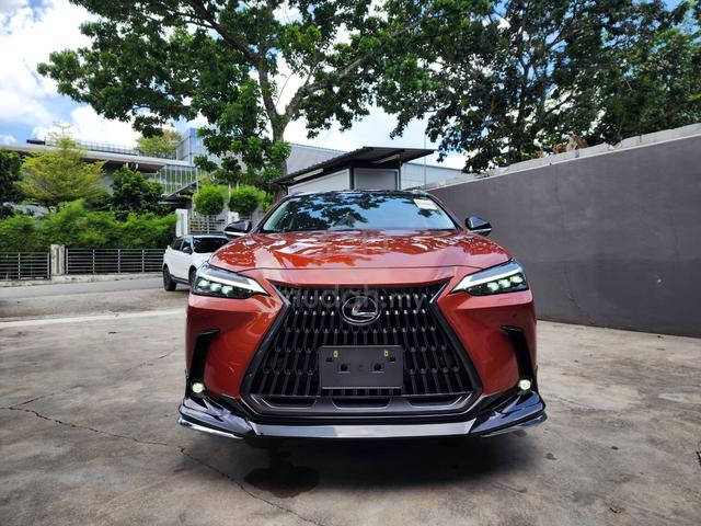2022 Lexus NX 250 2.5 VERSION-L (A) GRADE 4.5B - 3