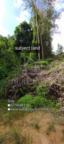 9 Acres Suitable For Poultry Farming 1