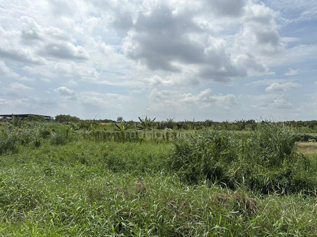 [1 ACRE] Klang Johan Setia Sijangkang Agricultural Land 1