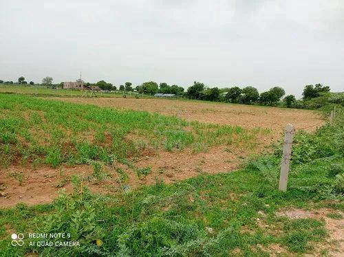 Suitable Build Landed 9 Acre Land Dengkil, Ready for Convert Residenti 1