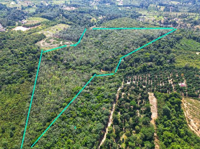 [FREEHOLD MALAY RESERVE] 🌱 25-Acre Agriculture Land@Lenggeng Seremban 1