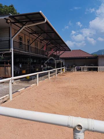 Countryside Horse Stables Farmstay FOR SALES at Balik Pulau, Penang 2