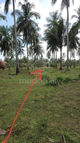 Tanah Untuk DiJual 1