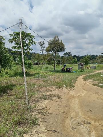 BERBALOI [FREEHOLD 4.29 Ekr] Dusun Durian, Tampin N9 2