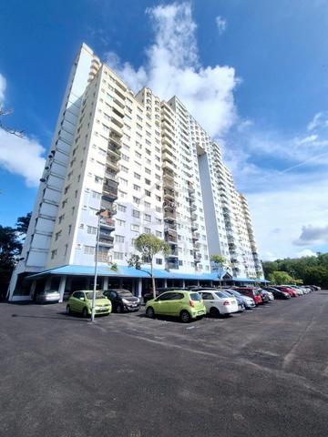 Desaminium Rimba 1