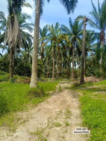 [VALUE BUY] Jeram Kuala Selangor 2.86Acre Agriculture Land 1