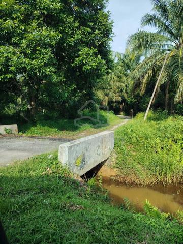 LOT TAPAK RUMAH dekat jln besar @Kg Cerah, Kg Selabak, Teluk Intan 1