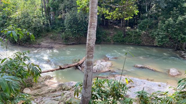 Freehold Homestead Land for Sale 3