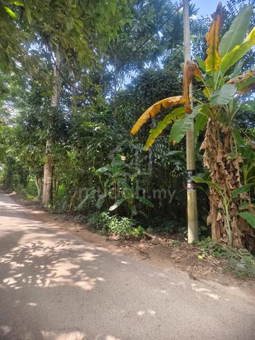 BENDANG UNTUK DIJUAL di DERANG, POKOK SENA 1
