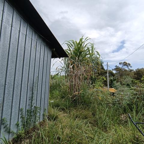 Agriculture land in Balik Pulau @Bukit Ayer Itam 4