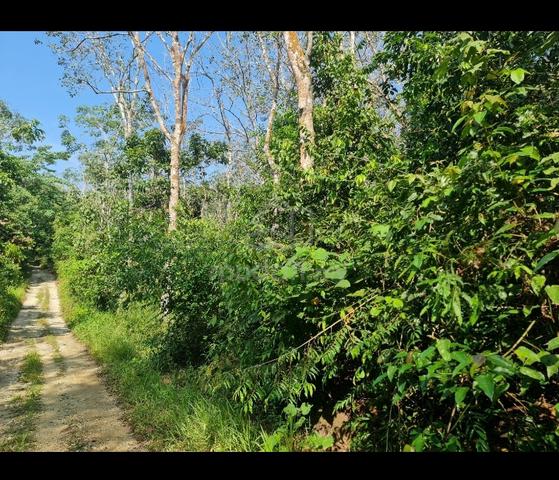 FLAT/FH NON BUMI😊 2.07 ac behind LATEX KPG PAK DOLAH near KMTG TOLL 4