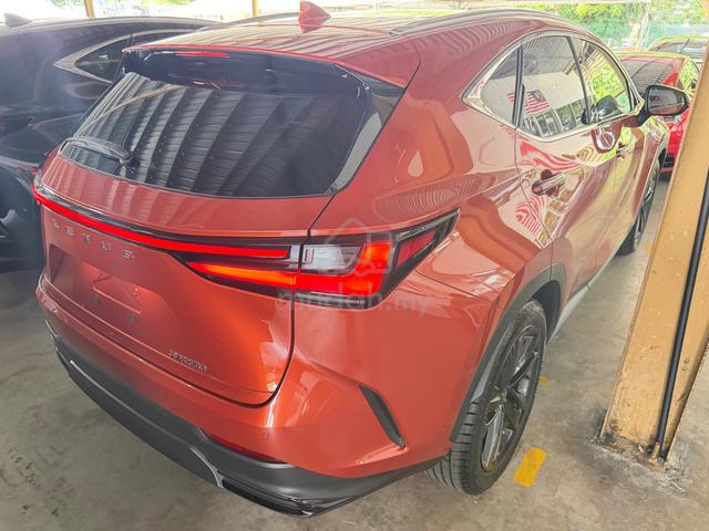 2023 Lexus NX250 2.5 LUXURY Cadmium Orange Color - 5