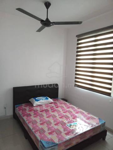 Residensi Kampung Paloh 4