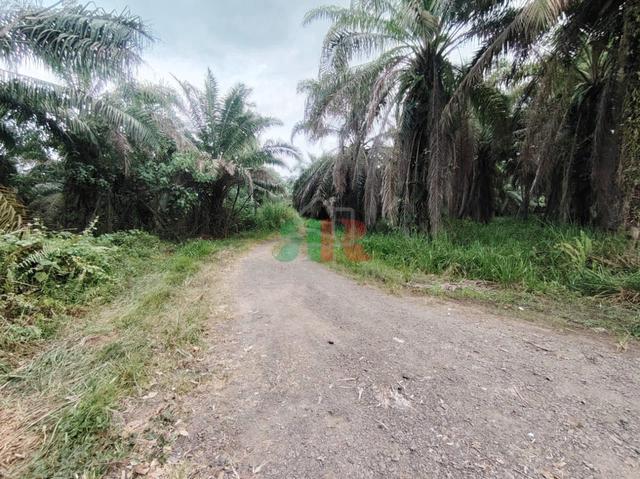 Land, Mile 5, Jalan Apas, Tawau 1