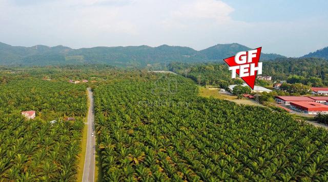 16.51 acre Agricultural Land | Main Road | Jawi |Penang 1