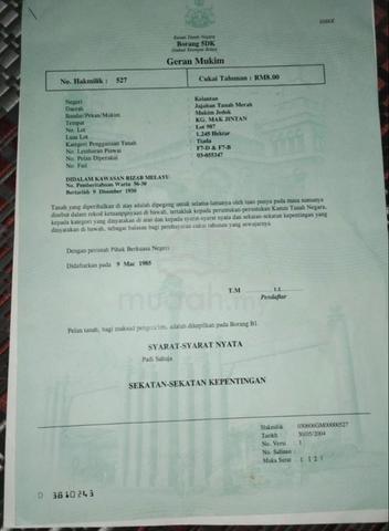 Tanah pertanian untuk dilepaskan 1