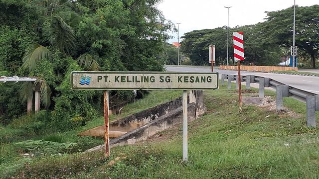 Tanah Sawah di Mukim Kesang Laut 1