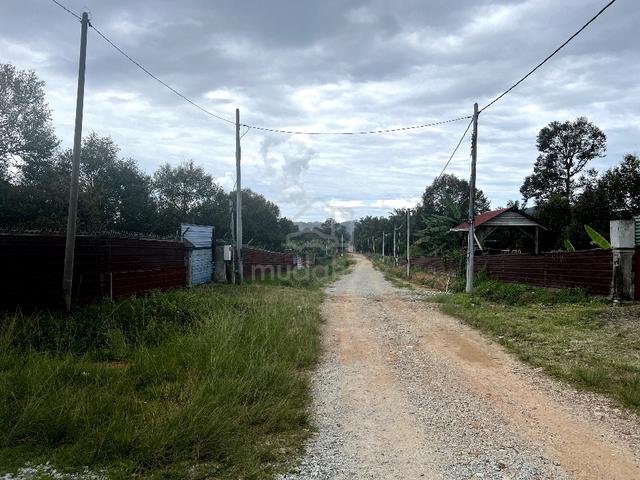 Multiple Agriculture Purpose Land (1 Acre) with Reserve Road for Sale 3