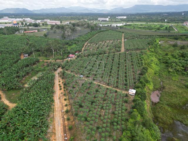 Kota Tinggi 23.51Acre Zoning Residential Land near Matured Taman 14psf 1