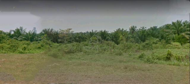 494 Acres Industrial Zoned Land @ Tanjong Dua Belas, Kuala Langat 1