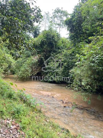 Tanah bersebelahan sungai lenggong 1