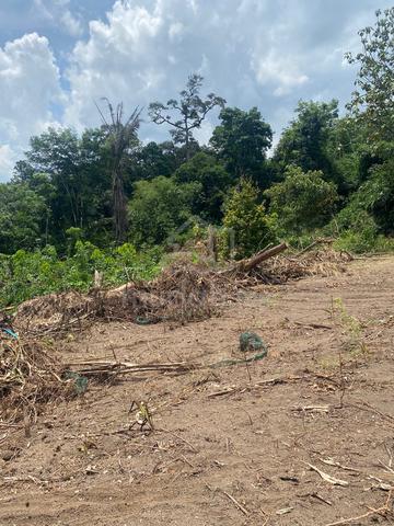 Tanah pertanian total 2ekar untuk dijual 1