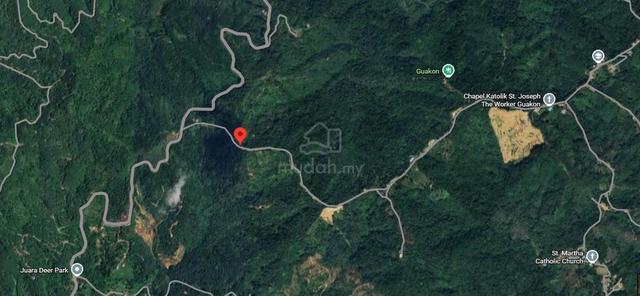 Tamparuli Plantation Land For Sale 1