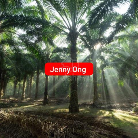 Zoning Heavy Industry Land Gurun, Kedah For Sale 1