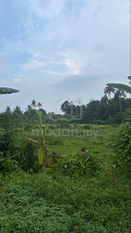 Land for Rent at Beranang 1