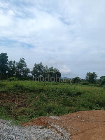 tanah alor jambu 1