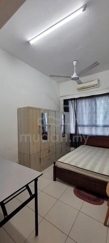 Middle room for rent 1