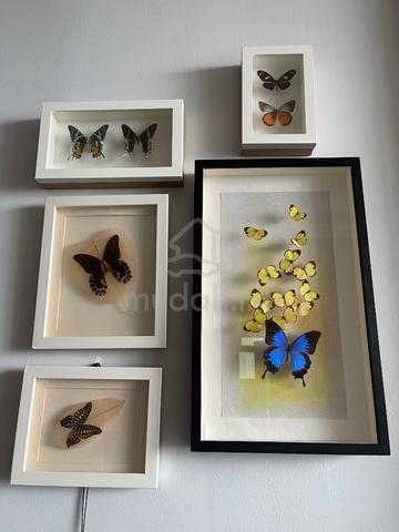 Butterfly Wall Art Home / Rama Rama Frame Hiasan D - Furniture ...