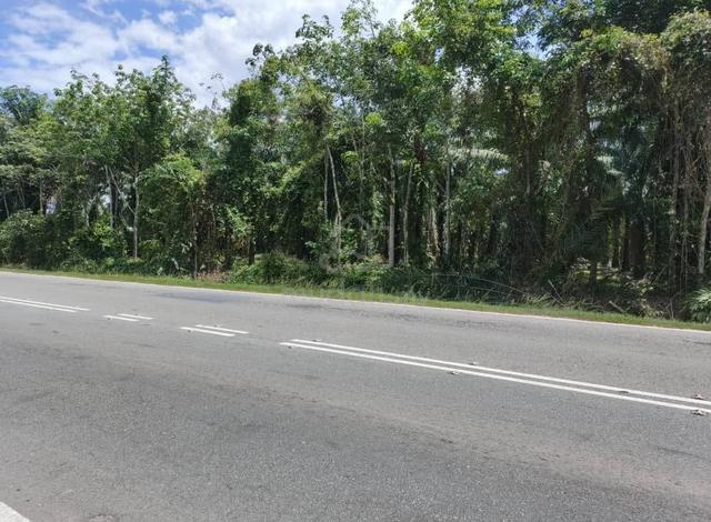 Murah Tanah 6 ekar Tepi Jalan Serting Ulu l Jual Tanah Pertanian Luas 1